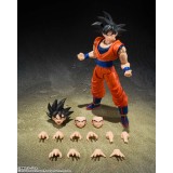 BANDAI DRAGON BALL Z SON GOKU KIND HEARTED SAIYAN VERSION S.H. FIGUARTS PVC ACTION FIGURE