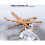 GODZILLA X MEGAGUIRUS EVOLUTION SET S.H. MONSTERARTS FIGUARTS ACTION FIGURE BANDAI