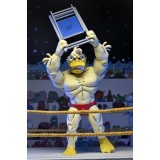 TEENAGE MUTANT NINJA TURTLES ARCHIE COMICS STUMP WRESTLING ACE DUCK ACTION FIGURE NECA