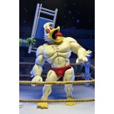 TEENAGE MUTANT NINJA TURTLES ARCHIE COMICS STUMP WRESTLING ACE DUCK ACTION FIGURE NECA