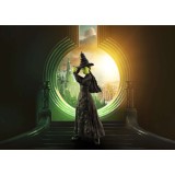 WICKED ELPHABA S.H. FIGUARTS ACTION FIGURE BANDAI