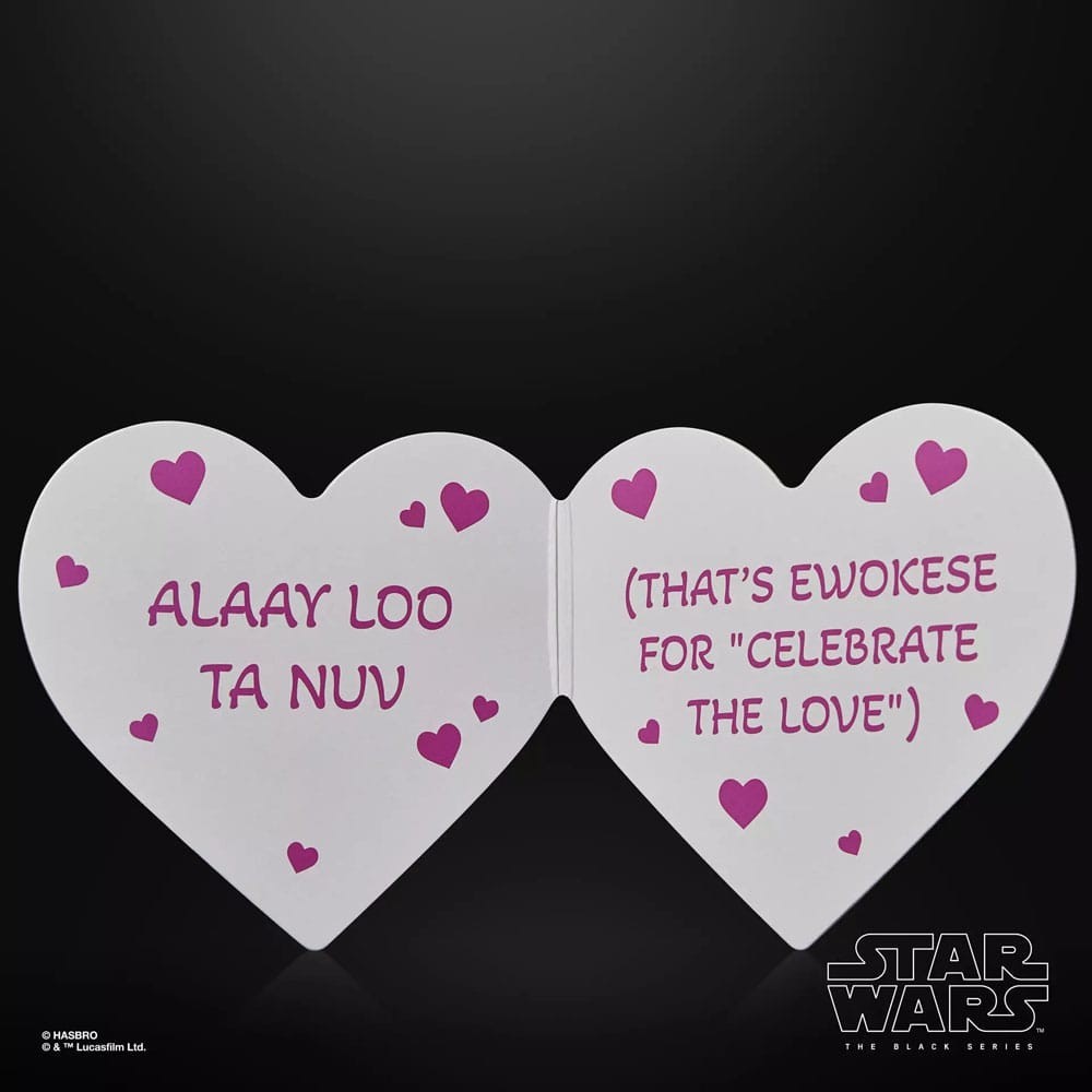STAR WARS THE BLACK SERIES EWOK VALENTINE'S DAY EDITION ACTION FIGURE HASBRO