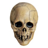 TRICK OR TREAT STUDIOS DON POST AGED VOODOO SKULL VINYL MASK