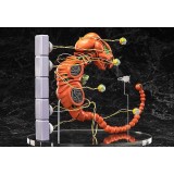 R-TYPE DOBKERATOPS FIGMA ACTION FIGURE FREEING