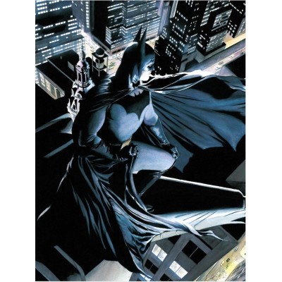 DC UNIVERSE BATMAN WATCHER GLASS POSTER IN VETRO 40 X 30 CM SD TOYS