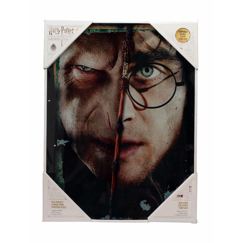 HARRY POTTER HALF FACE VOLDEMORT HARRY GLASS POSTER IN VETRO 40 X 30 CM SD TOYS