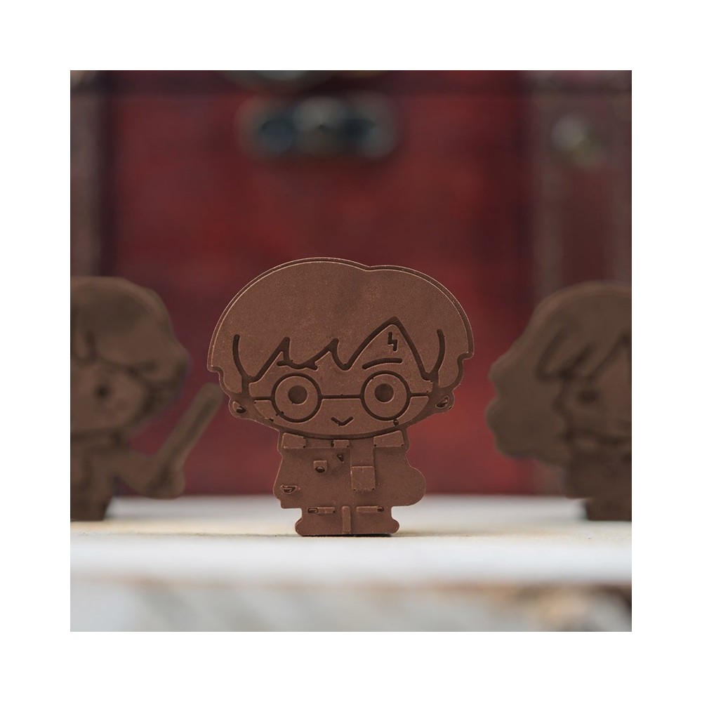 HARRY POTTER STAMPO IN SILICONE PER GHIACCIO E CIOCCOLATINI CINEREPLICAS