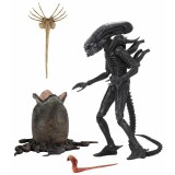 NECA ALIEN ULTIMATE 40TH ANNIVERSARY BIG CHAP ACTION FIGURE