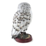 HARRY POTTER - HEDWIG STATUA FIGURE NOBLE COLLECTIONS