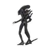 NECA ALIEN ULTIMATE 40TH ANNIVERSARY BIG CHAP ACTION FIGURE